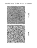 Methods and Devices for Forming Nanostructure Monolayers and Devices     Including Such Monolayers diagram and image