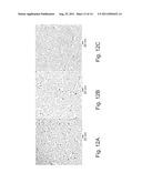 Methods and Devices for Forming Nanostructure Monolayers and Devices     Including Such Monolayers diagram and image