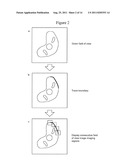 METHOD FOR OBSERVING SAMPLE AND ELECTRONIC MICROSCOPE diagram and image