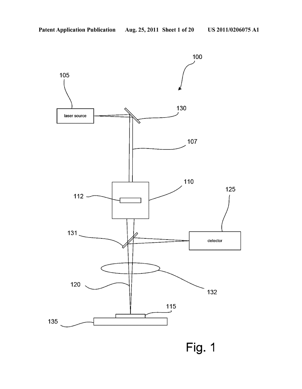 Nonlinear Imaging using Passive Pulse Splitters - diagram, schematic, and image 02