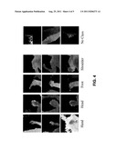 Intelligent Part Identification for Use with Scene Characterization or     Motion Capture diagram and image