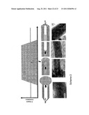 INORGANIC MULTILAYERED NANOSTRUCTURES diagram and image