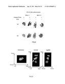 Molecular Probe for Imaging of Pancreatic Islets and Use of the Same diagram and image