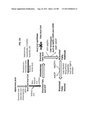 SURFACTANT AND CLEANING COMPOSITIONS COMPRISING MICROBIALLY PRODUCED     BRANCHED FATTY ALCOHOLS diagram and image