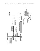 SURFACTANT AND CLEANING COMPOSITIONS COMPRISING MICROBIALLY PRODUCED     BRANCHED FATTY ALCOHOLS diagram and image