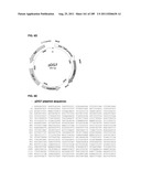 SURFACTANT AND CLEANING COMPOSITIONS COMPRISING MICROBIALLY PRODUCED     BRANCHED FATTY ALCOHOLS diagram and image