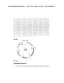 SURFACTANT AND CLEANING COMPOSITIONS COMPRISING MICROBIALLY PRODUCED     BRANCHED FATTY ALCOHOLS diagram and image