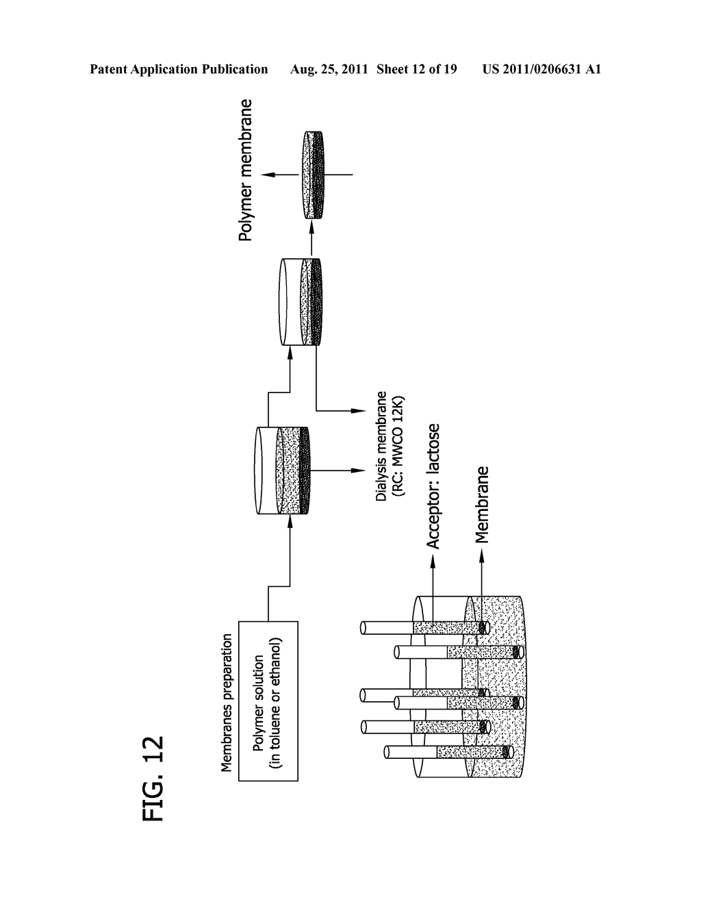 ION BINDING POLYMERS AND USES THEREOF - diagram, schematic, and image 13