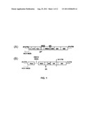 COMPOSITIONS AND METHODS FOR REDUCING THE MUTATION RATE OF VIRUSES diagram and image