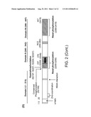 COMPOSITIONS AND METHODS FOR REDUCING THE MUTATION RATE OF VIRUSES diagram and image