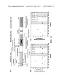 COMPOSITIONS AND METHODS FOR REDUCING THE MUTATION RATE OF VIRUSES diagram and image