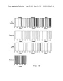 COMPOSITIONS AND METHODS FOR REDUCING THE MUTATION RATE OF VIRUSES diagram and image