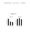 REPLICATION COMPETENT VIRUSES CAPABLE OF SILENCING VIRUS INHIBITORY FACTOR     EXPRESSION diagram and image