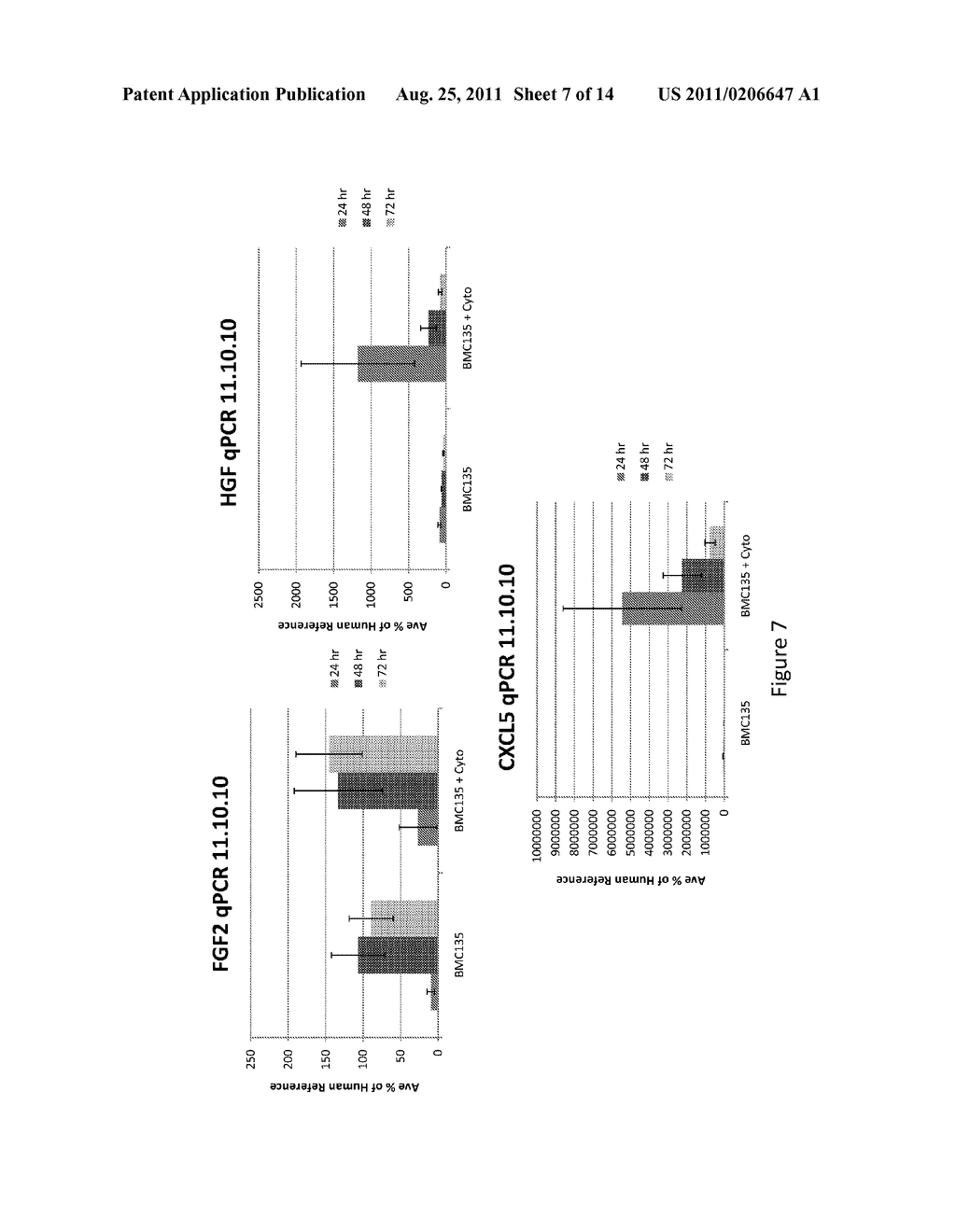 Modulation of Angiogenesis - diagram, schematic, and image 08