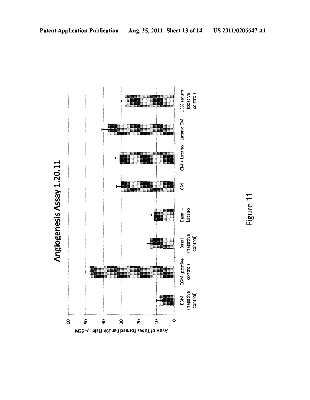 Modulation of Angiogenesis - diagram, schematic, and image 14