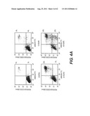 TARGETING PAX2 FOR THE TREATMENT OF BREAST CANCER diagram and image