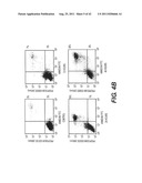 TARGETING PAX2 FOR THE TREATMENT OF BREAST CANCER diagram and image