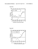 IL-23 ANTIBODIES diagram and image