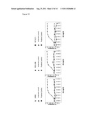 IL-23 ANTIBODIES diagram and image