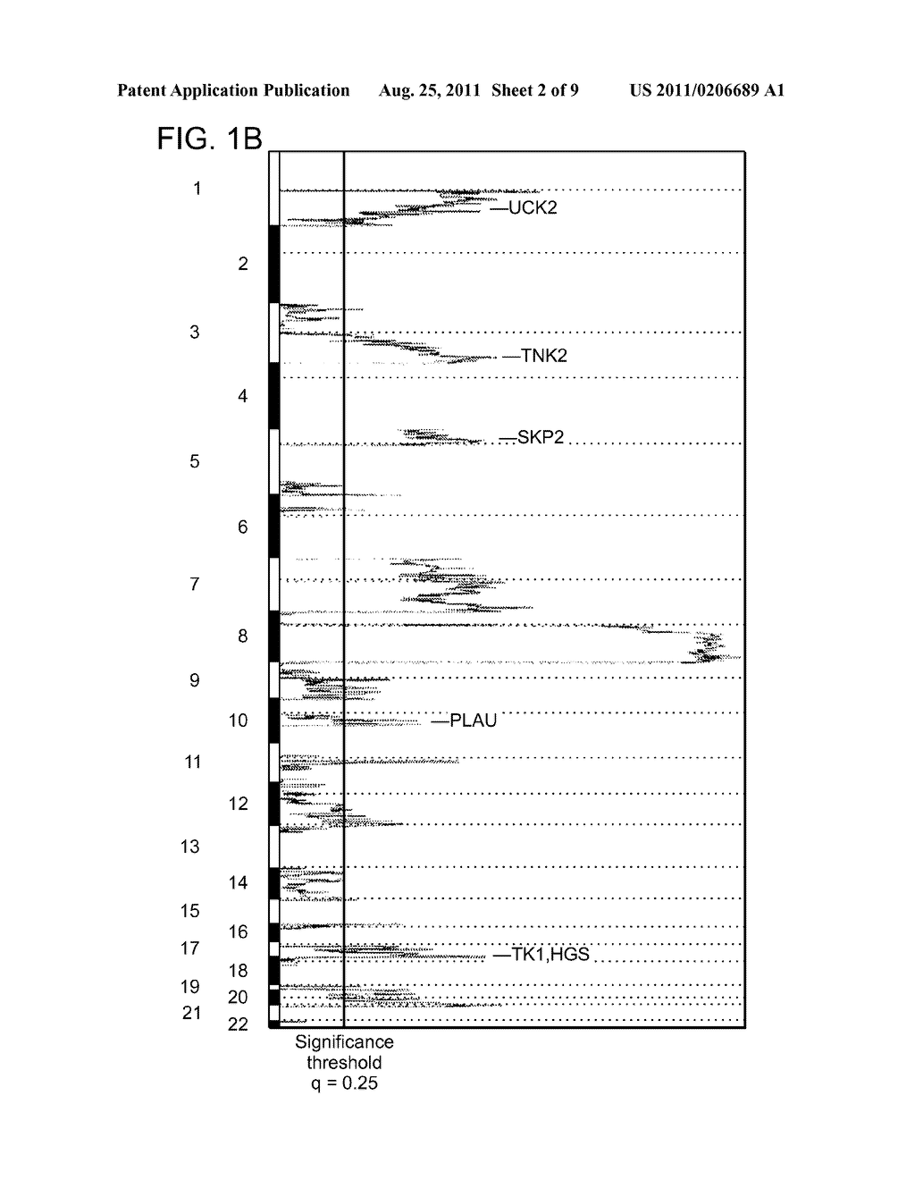 Molecular Determinants Associated With Prostate Cancer And Methods Of Use     Thereof - diagram, schematic, and image 03