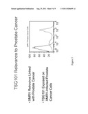 ANTIBODIES FOR DIAGNOSIS AND THERAPEUTIC TREATMENT OF PROSTATE CANCER diagram and image