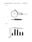 SPINK1 TARGETED THERAPY diagram and image