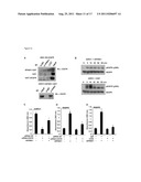 SPINK1 TARGETED THERAPY diagram and image