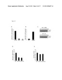 SPINK1 TARGETED THERAPY diagram and image