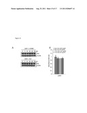 SPINK1 TARGETED THERAPY diagram and image