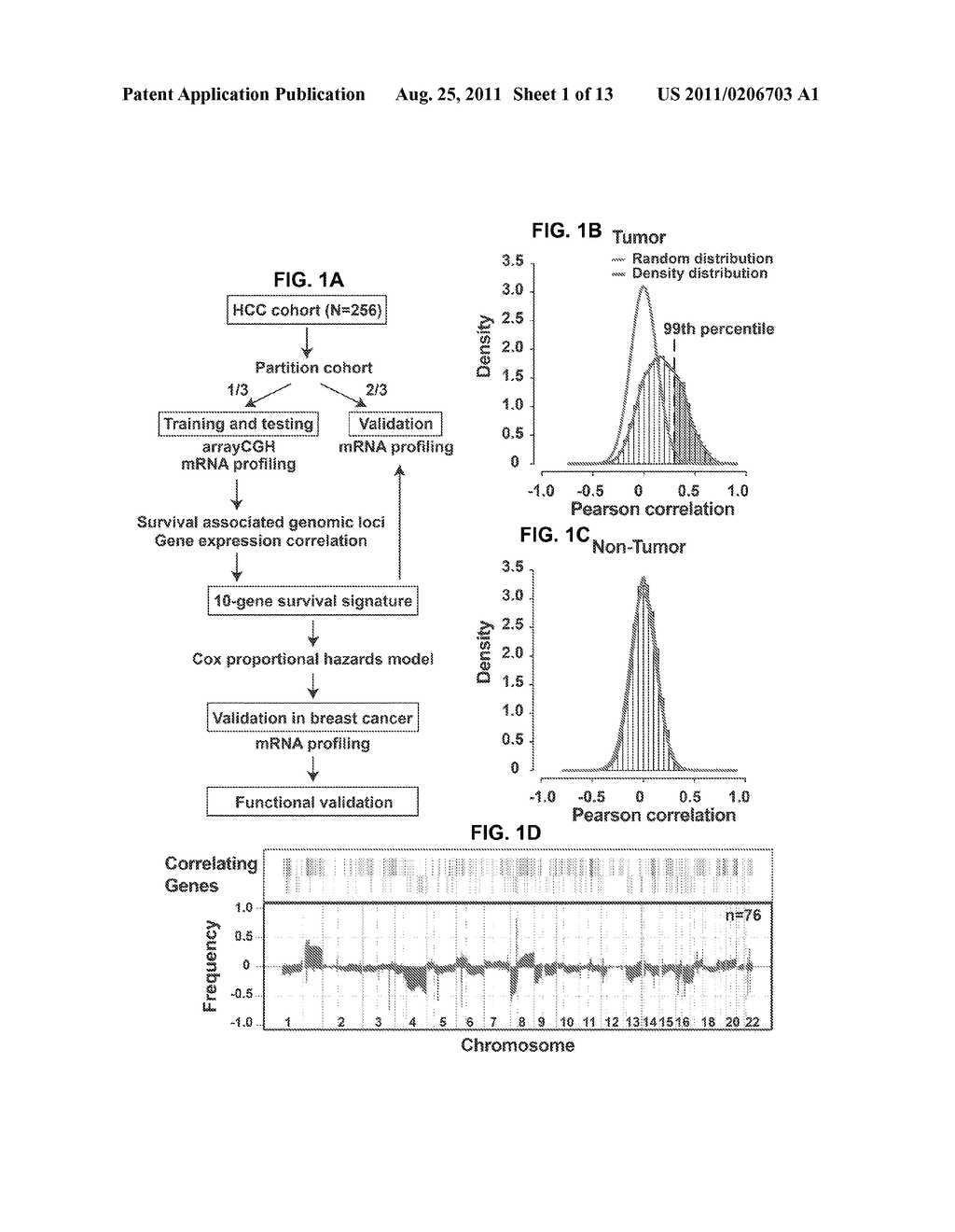 GENE SIGNATURE FOR PREDICTING PROGNOSIS OF PATIENTS WITH SOLID TUMORS - diagram, schematic, and image 02