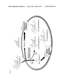 HYBRID SCFA-HYDROXYL-DERIVATIZED MONOSACCHARIDES, METHODS OF SYNTHESIS,     AND METHODS OF TREATING DISORDERS diagram and image