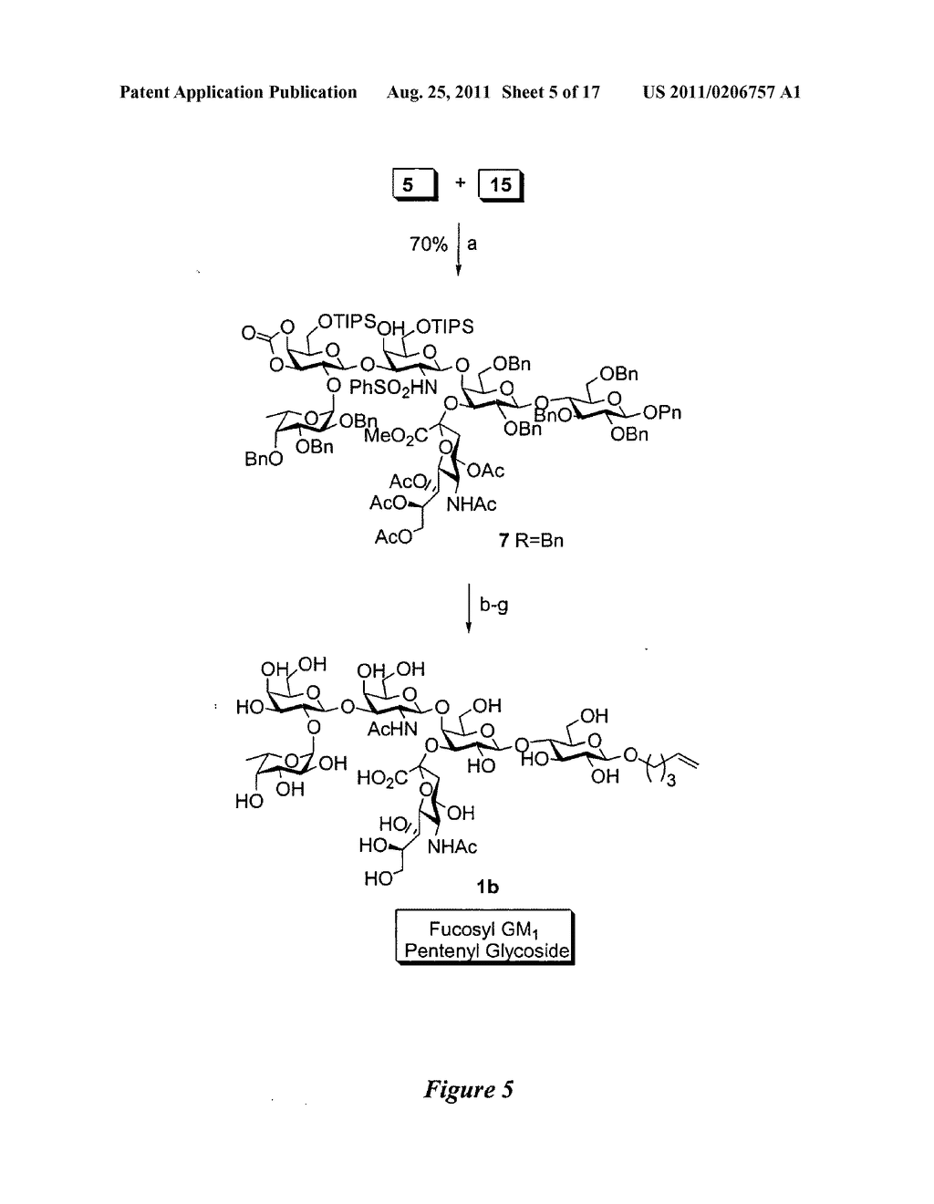 NOVEL GLYCOCONJUGATES, GLYCOAMINO ACIDS, INTERMEDIATES THERETO, AND USES     THEREOF - diagram, schematic, and image 06