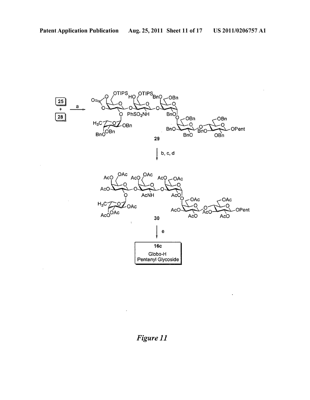 NOVEL GLYCOCONJUGATES, GLYCOAMINO ACIDS, INTERMEDIATES THERETO, AND USES     THEREOF - diagram, schematic, and image 12