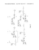 NOVEL GLYCOCONJUGATES, GLYCOAMINO ACIDS, INTERMEDIATES THERETO, AND USES     THEREOF diagram and image