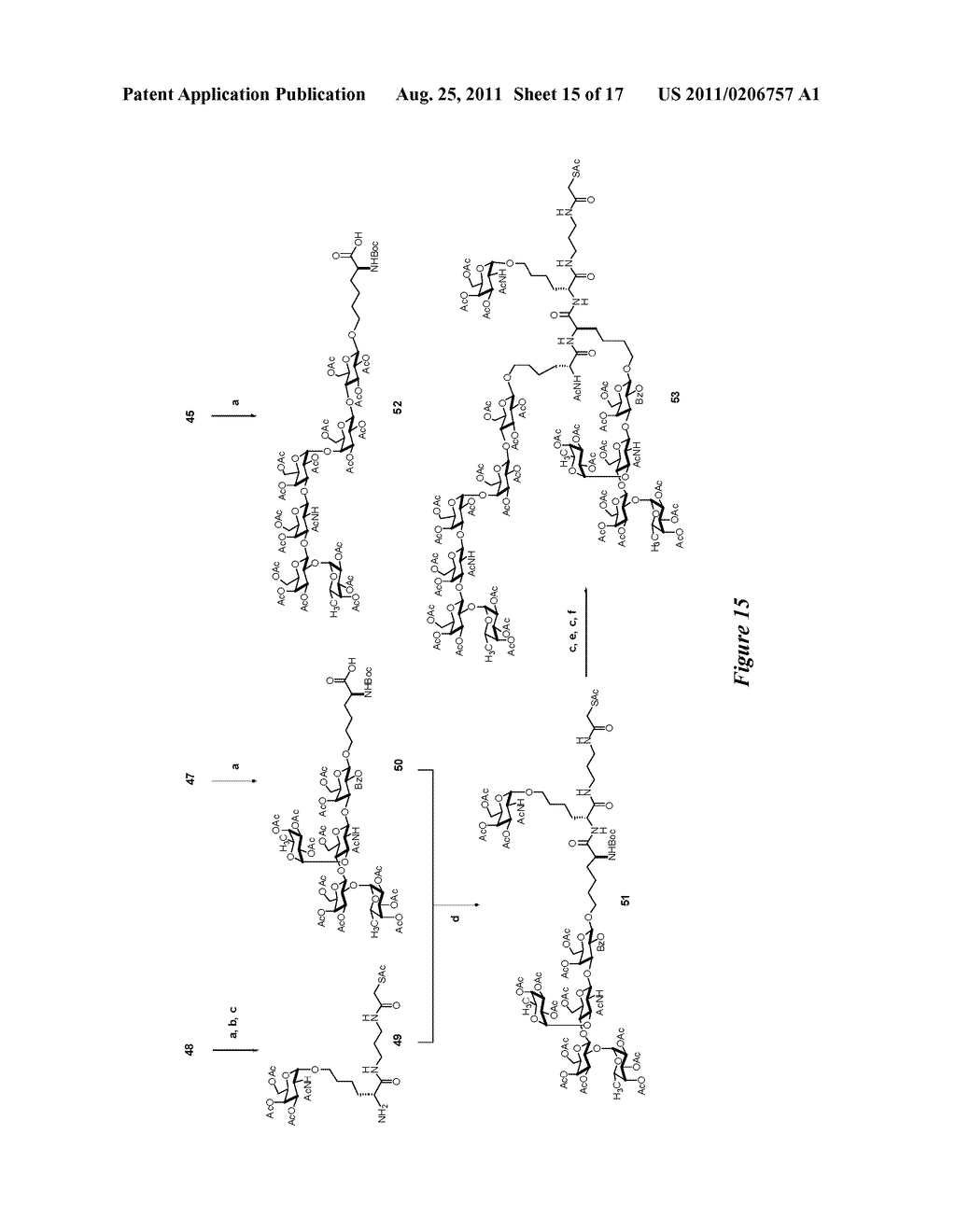 NOVEL GLYCOCONJUGATES, GLYCOAMINO ACIDS, INTERMEDIATES THERETO, AND USES     THEREOF - diagram, schematic, and image 16