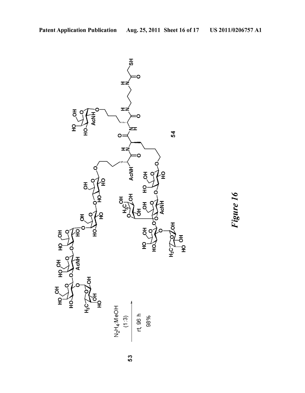 NOVEL GLYCOCONJUGATES, GLYCOAMINO ACIDS, INTERMEDIATES THERETO, AND USES     THEREOF - diagram, schematic, and image 17