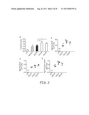 CCR7 LIGAND DELIVERY AND CO-DELIVERY IN IMMUNOTHERAPY diagram and image