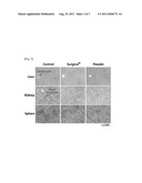 Encapsulated functional fine particle composition capable of spraying and     preparation method thereof diagram and image