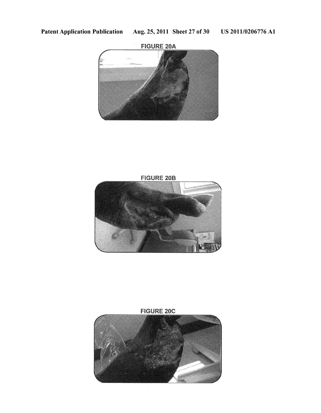 METHODS OF MANUFACTURE OF IMMUNOCOMPATIBLE AMNIOTIC MEMBRANE PRODUCTS - diagram, schematic, and image 28