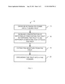 FELINE STIMULANT AND METHOD OF MANUFACTURE diagram and image