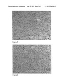 PROCESS FOR PRODUCING SHAPED REFRACTORY METAL BODIES diagram and image