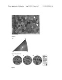 PROCESS FOR PRODUCING SHAPED REFRACTORY METAL BODIES diagram and image