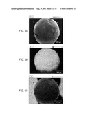 POROUS STRUCTURES FOR ENERGY STORAGE DEVICES diagram and image