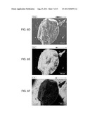 POROUS STRUCTURES FOR ENERGY STORAGE DEVICES diagram and image