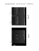 ULTRASOUND PHANTOM MODELS, MATERIALS, AND METHODS diagram and image