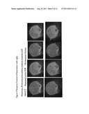 SPATIO-TEMPORAL CONTROL OF PROTEIN INTERACTIONS USING PHYTOCHROMES diagram and image