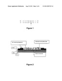 METHOD FOR LABELLING A PRODUCT USING A PLURALITY OF POLYNUCLEOTIDES,     METHOD FOR IDENTIFYING THE LABELLING AND LABELLED PRODUCT diagram and image