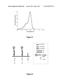 METHOD FOR LABELLING A PRODUCT USING A PLURALITY OF POLYNUCLEOTIDES,     METHOD FOR IDENTIFYING THE LABELLING AND LABELLED PRODUCT diagram and image