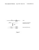 METHOD FOR LABELLING A PRODUCT USING A PLURALITY OF POLYNUCLEOTIDES,     METHOD FOR IDENTIFYING THE LABELLING AND LABELLED PRODUCT diagram and image