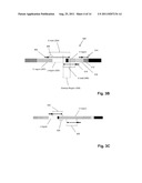 MONITORING HEALTH AND DISEASE STATUS USING CLONOTYPE PROFILES diagram and image